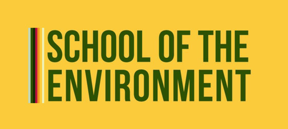 School of the Environment